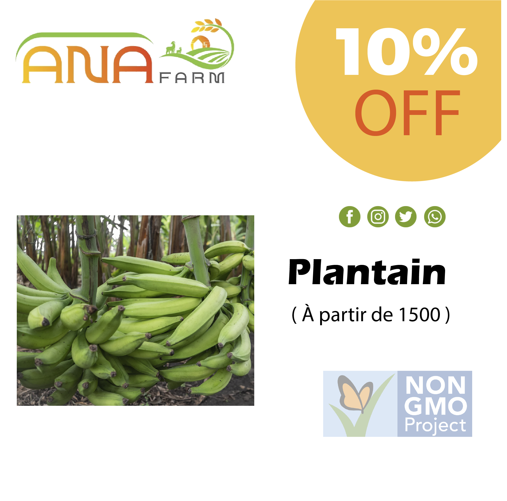 AnaFarm